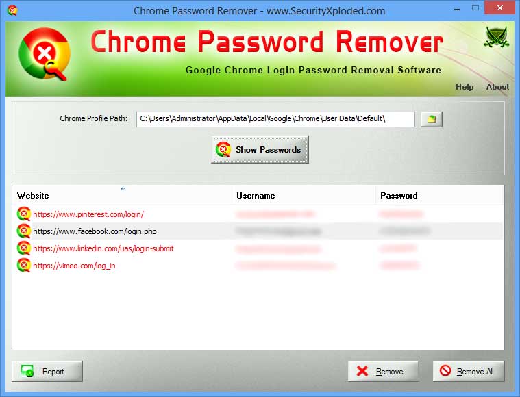 Google Chrome Login Password Removal Tool