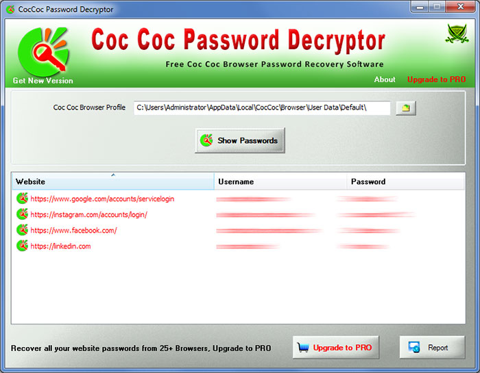 Windows 10 CocCoc Password Decryptor full