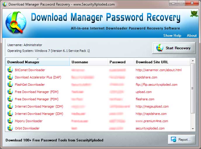 Download Manager Password Recovery screenshot