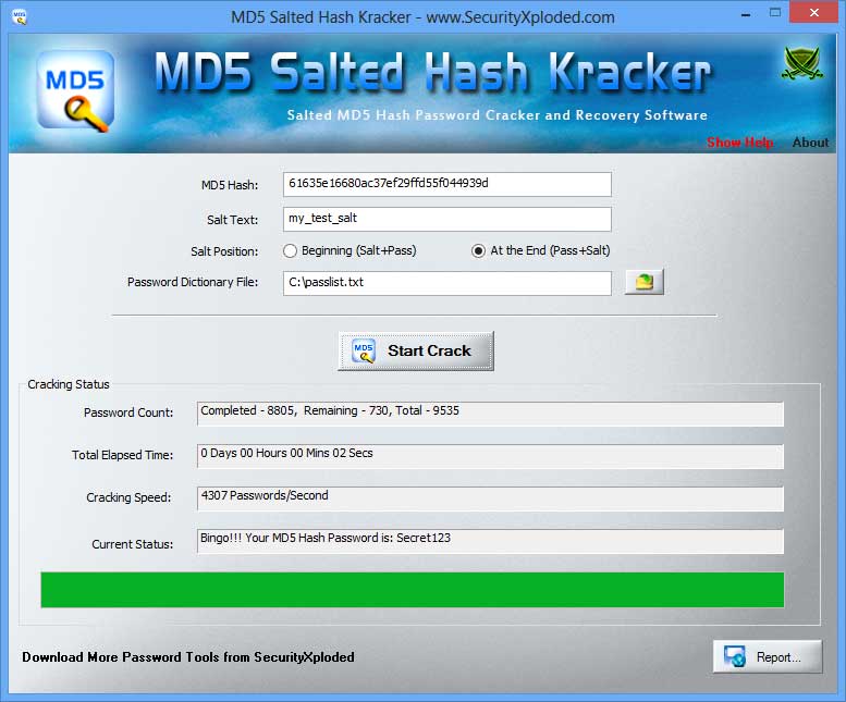 Screenshot 2: MD5 Hash Password Recovery report generated by ...