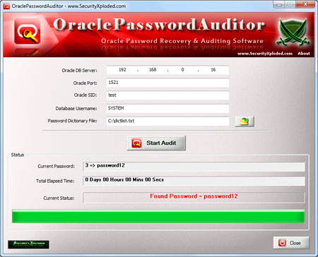 Windows 8 Oracle Password Auditor full