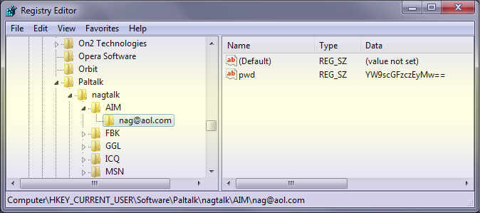 Paltalk Messenger Registry Storage