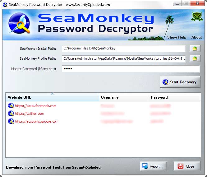 Password Decryptor for SeaMonkey screenshot