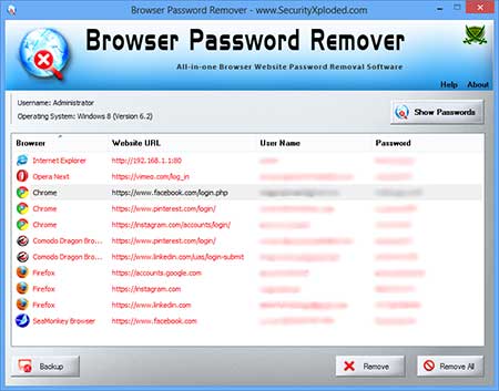 BrowserPasswordRemover showing recovered passwords