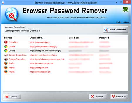 BrowserPasswordRemover showing recovered passwords