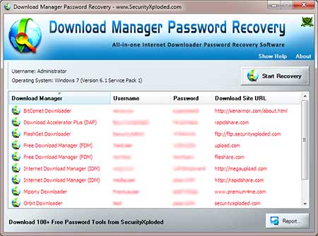DownloadMgrPasswordRecovery showing recovered passwords